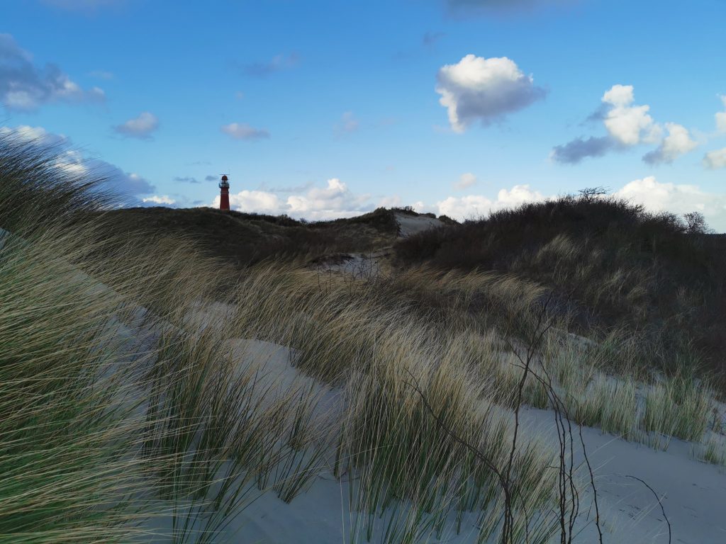 Dünenlandschaft mit Leuchtturm auf Schiermonnikoog